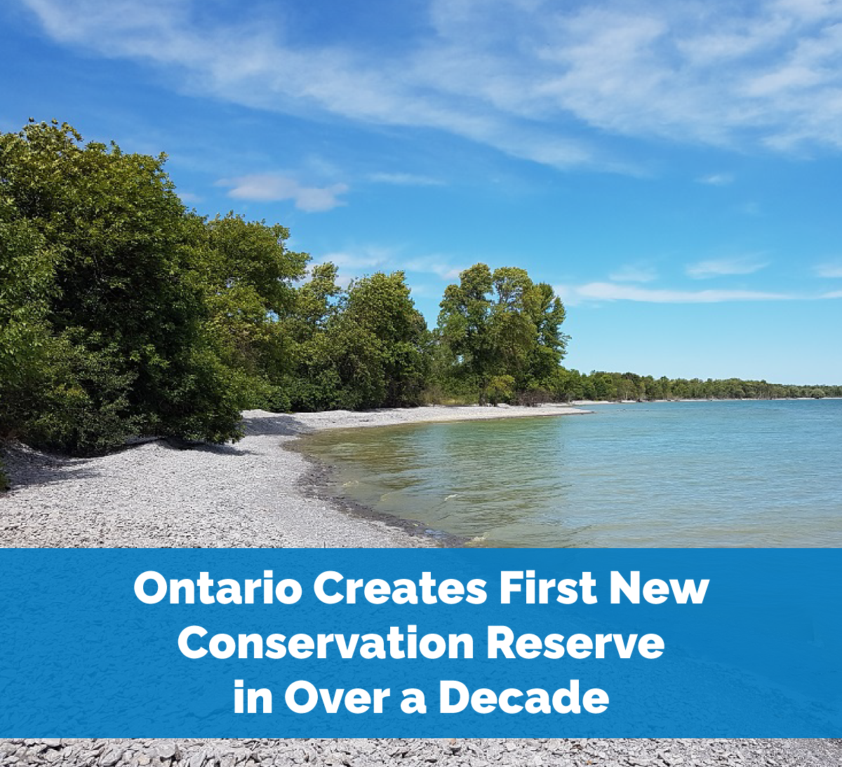 Ontario Establishes First New Conservation Reserve in Over 10 Years