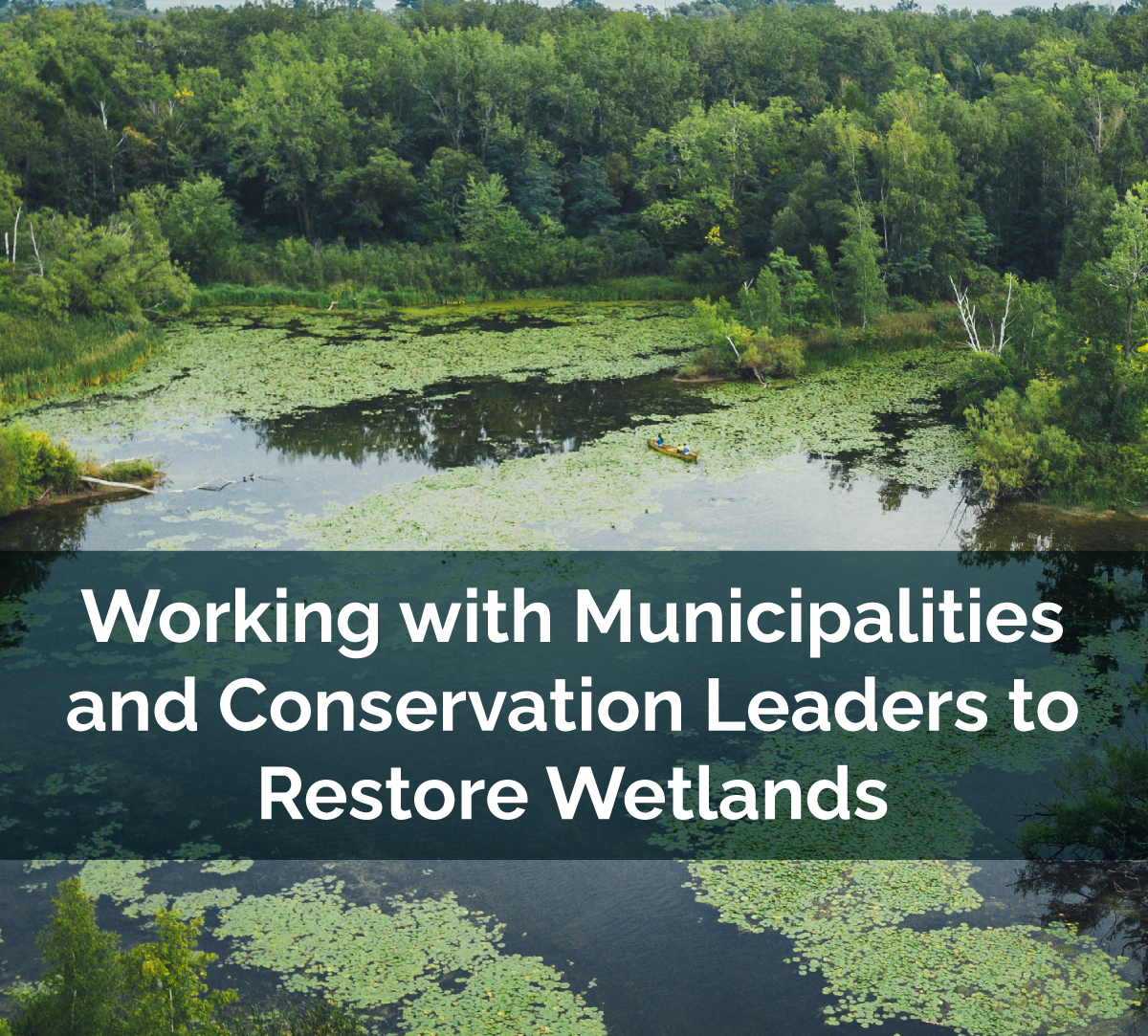 Ontario Making Historic Investments in Wetlands Restoration